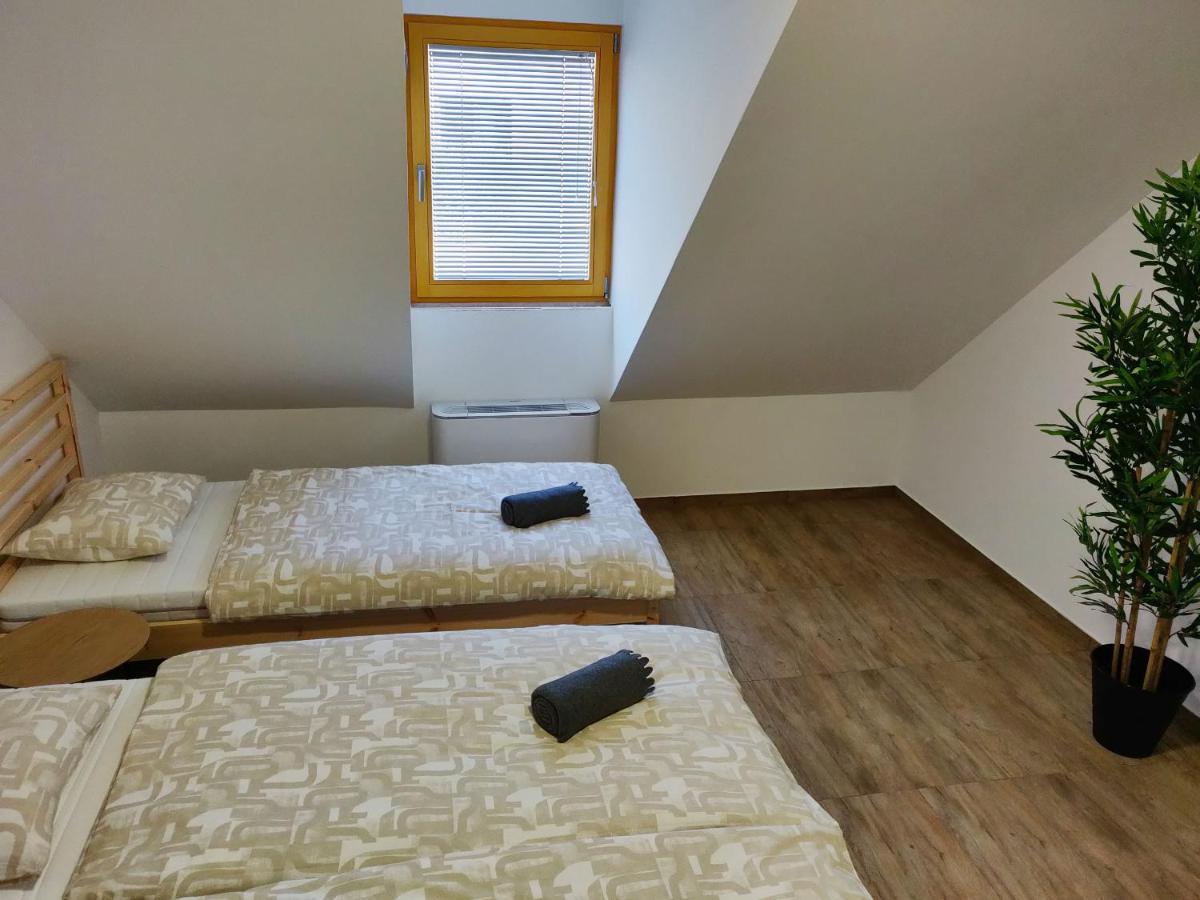 Pubyland & Apartment Rogatec